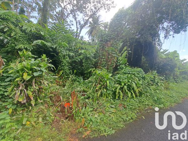 Terrain à vendre 4 713 m² Capesterre-Belle-Eau