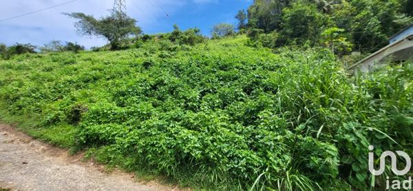 Terrain à vendre 4 713 m² Capesterre-Belle-Eau