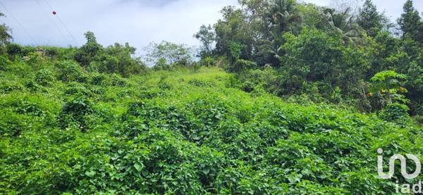 Terrain à vendre 4 713 m² Capesterre-Belle-Eau