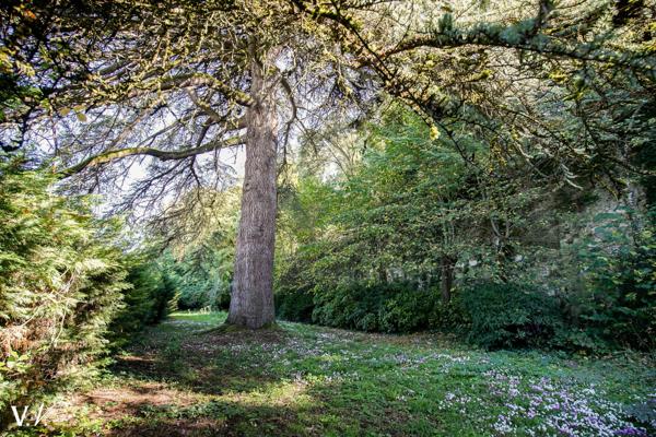 SAINT AVERTIN - ANCIEN PRIEURE A RENOVER