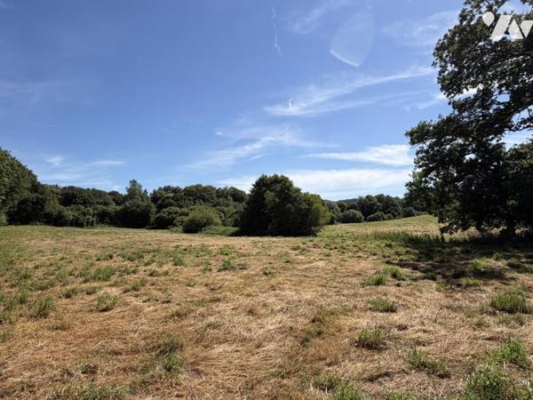 2292 - PLEYBER CHRIST - PRAIRIE AVEC COUR D'EAU ET UN BOIS