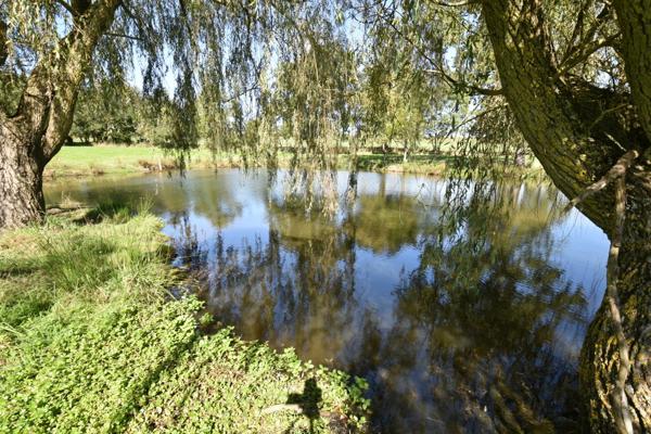 TERRAIN DE LOISIR AVEC ÉTANG SUR 2 ha