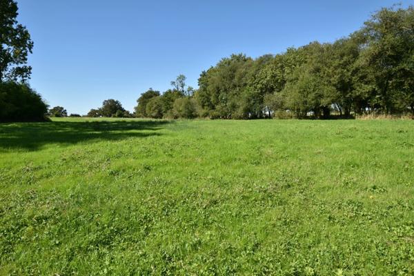 TERRAIN DE LOISIR AVEC ÉTANG SUR 2 ha