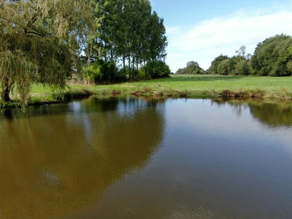 TERRAIN DE LOISIR AVEC ÉTANG SUR 2 ha