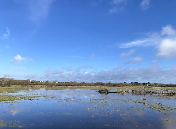 à vendre à Séné Maison avec vue sur le Golfe du Morbihan sous sol complet carport