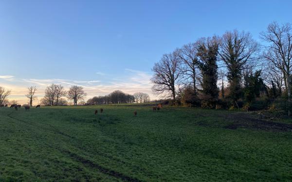 Maison à vendre    4 pièces • 90 m2 Séreilhac