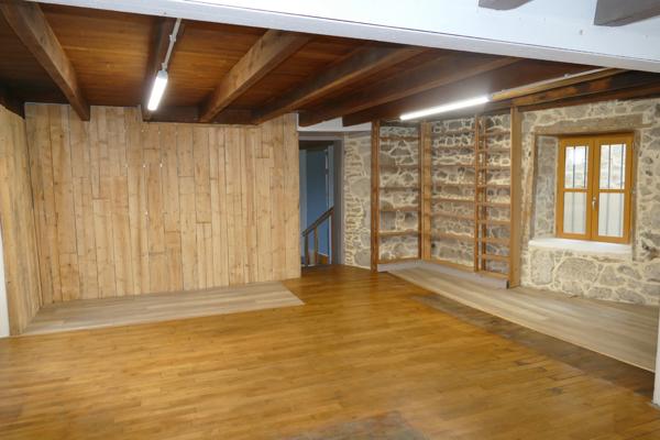 Grande maison rénovée avec atelier ou local commercial, terrasse panoramique et jardin (Mourjou - Puycapel, 15)
