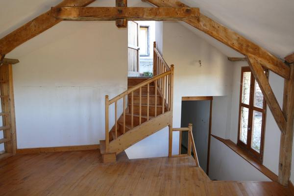 Grande maison rénovée avec atelier ou local commercial, terrasse panoramique et jardin (Mourjou - Puycapel, 15)