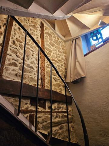 Grande maison rénovée avec atelier ou local commercial, terrasse panoramique et jardin (Mourjou - Puycapel, 15)