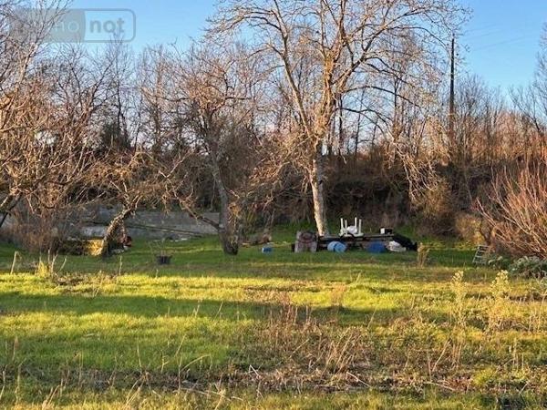 Terrain à Batir à vendre à Fontevraud-l'Abbaye dans le Maine-et-Loire (49590), ref : 49105-844