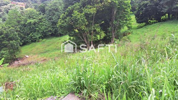 Terrain à batîr  sur le vauclin