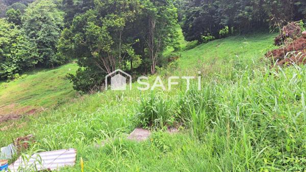 Terrain à batîr  sur le vauclin