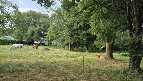 Maison à vendre à Candé dans le Maine-et-Loire (49440), ref : 49095-1609