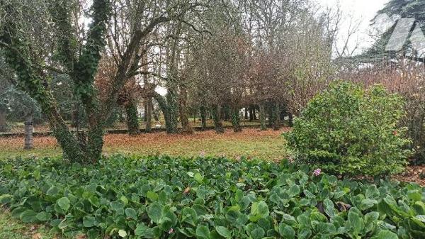 Situé au sein de la résidence  services Les Néréides à Saint-Malo, ce T1 bis en rez-de-jardin o...