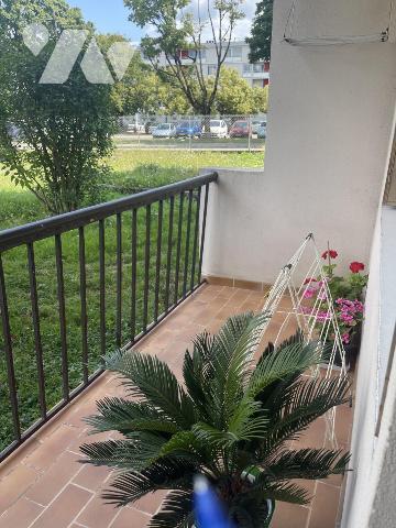 Appartement T3