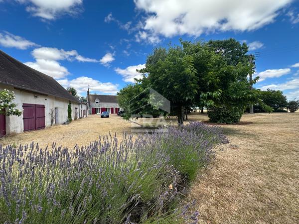 LA CHAMPENOISE - Longere 225 m² h - Dépendance - Terrain de 7400 m²