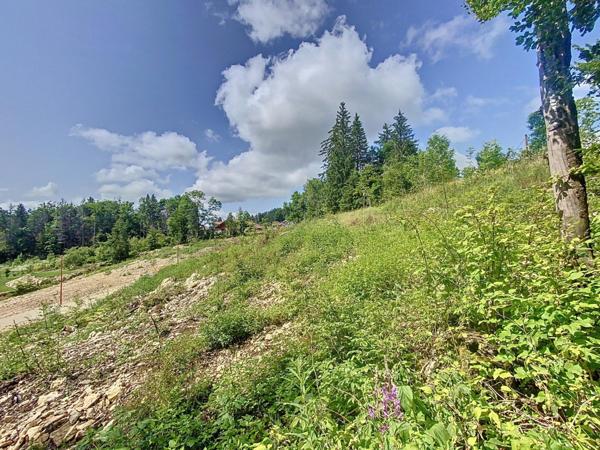 Terrain constructible viabilisé de 767m2