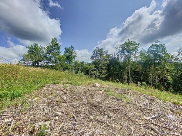 Terrain constructible viabilisé de 767m2
