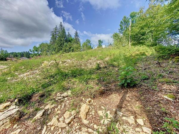 Terrain constructible viabilisé de 767m2