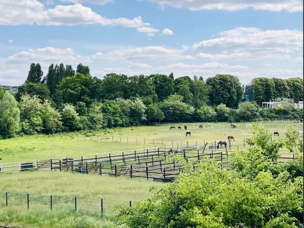Ensemble immobilier Maisons-Laffitte - CHARLEMAGNE