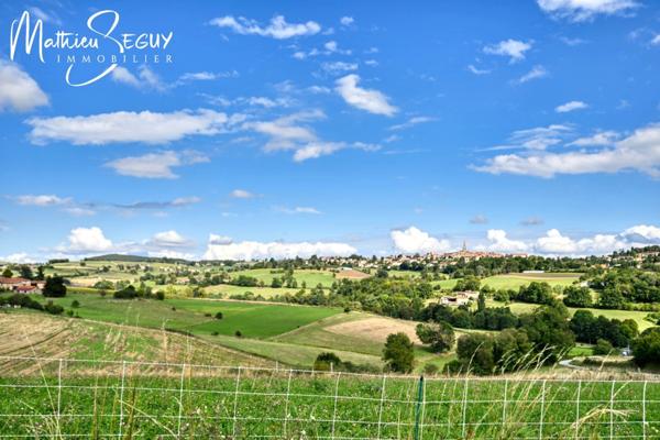 MAISON traditionnelle de charme en pierres à SAINT-MARTIN-EN-HAUT