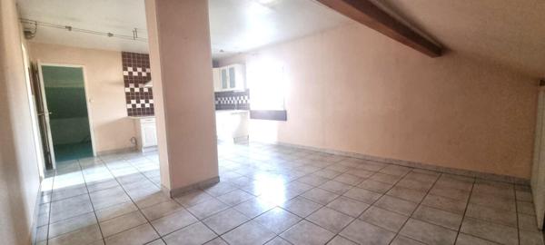 Grande maison familiale ou 2 appartements sur terrain d'environ 13 ares