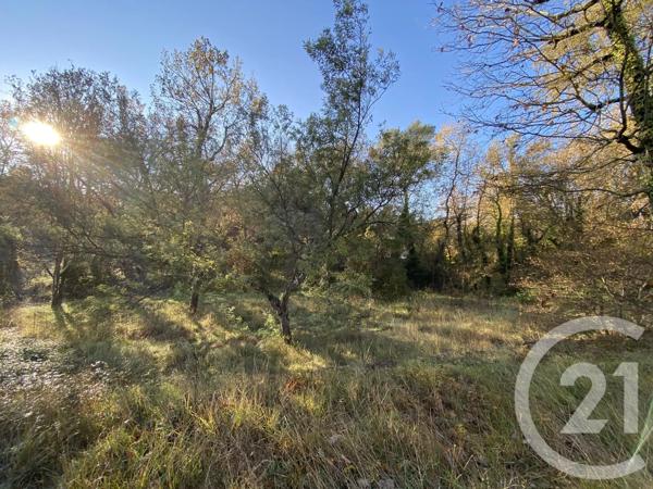 Terrain à vendre  1221 m 2   TOURRETTES SUR LOUP  - 06