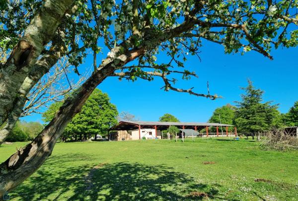 PROPRIÉTE EQUESTRE SUR 6 HA  AVEC MAISONS D'HABITATION