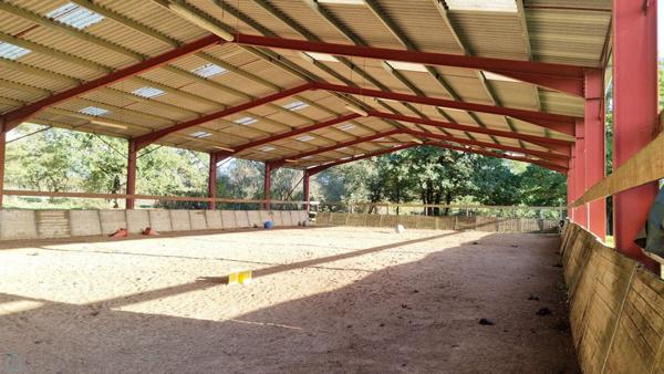 PROPRIÉTE EQUESTRE SUR 6 HA  AVEC MAISONS D'HABITATION