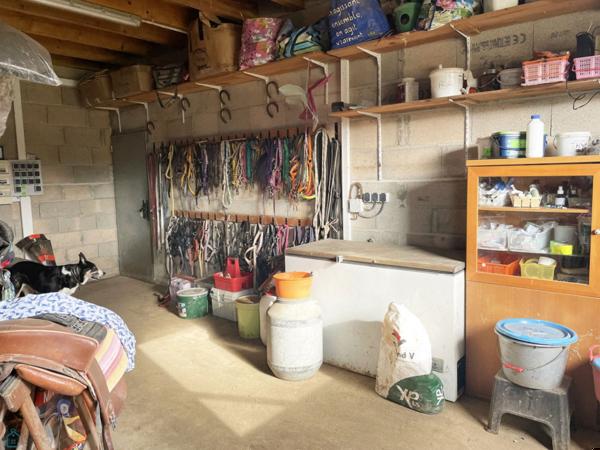 PROPRIÉTE EQUESTRE SUR 6 HA  AVEC MAISONS D'HABITATION