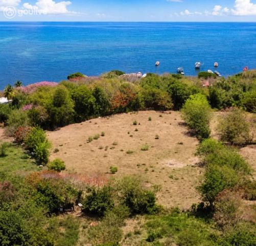 Vauclin – 12 000 m² avec vue mer – Une opportunité foncière rare