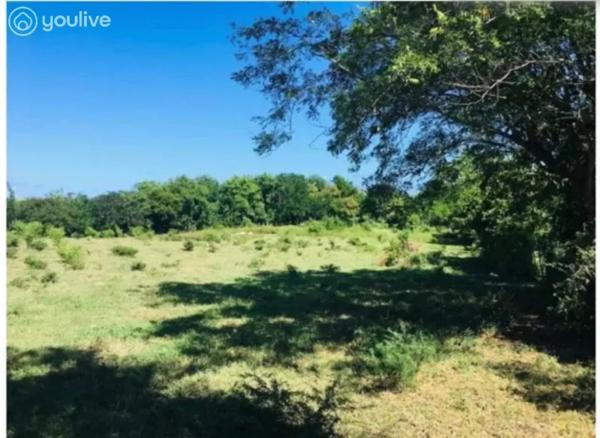Vauclin – 12 000 m² avec vue mer – Une opportunité foncière rare