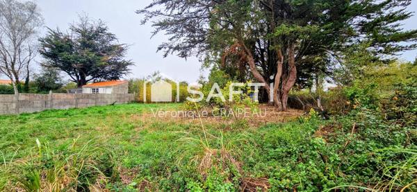 TERRAIN CONSTRUCTIBLE – 704 m² – À 5 MINUTES DE BRÉTIGNOLLES-SUR-MER ET SAINT-GILLES-CROIX-DE-VIE