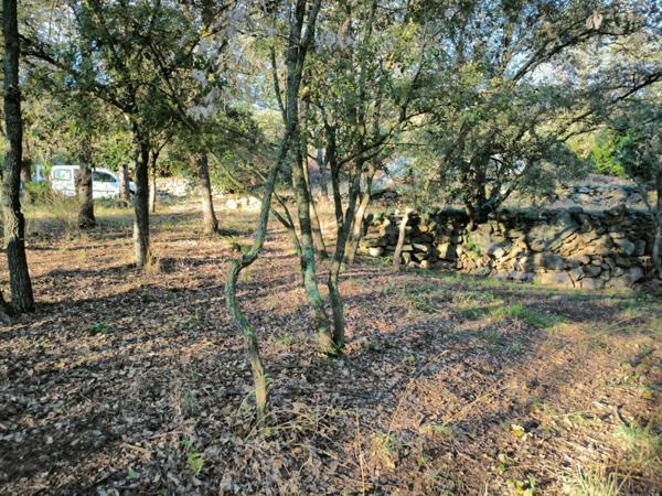 SUPERBE TERRAIN SUR 3 NIVEAUX, AU CALME, CLARA-VILLERACH (66500)