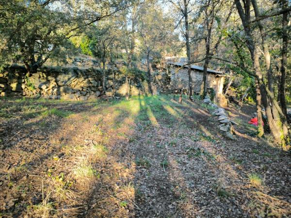 SUPERBE TERRAIN SUR 3 NIVEAUX, AU CALME, CLARA-VILLERACH (66500)