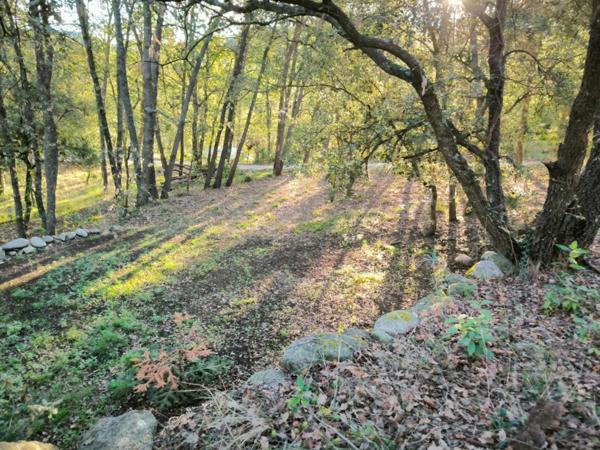 SUPERBE TERRAIN SUR 3 NIVEAUX, AU CALME, CLARA-VILLERACH (66500)