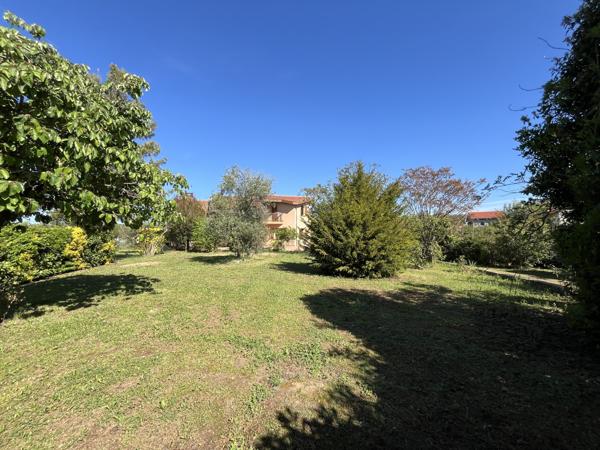 Maison familiale T5/T6 grande parcelle - Secteur Petit train - Tournefeuille (31170)