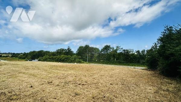 TERRAINS VIABILISES - LES PIEUX