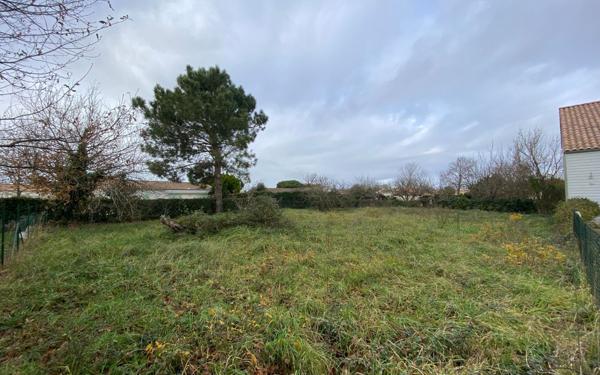Terrain à vendre    Les Mathes