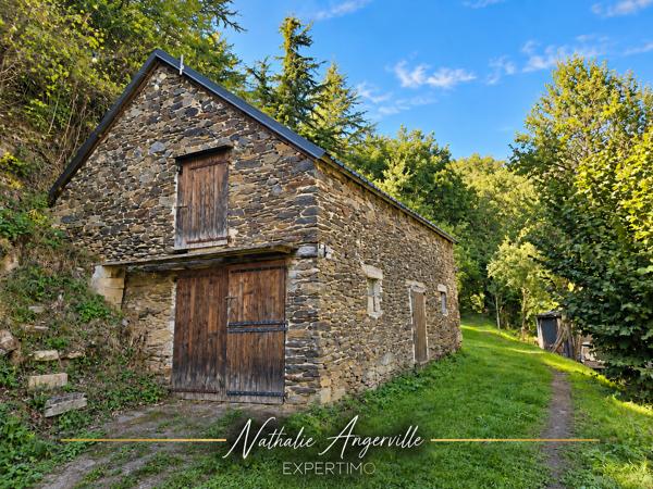 ANCIEN MOULIN DU XVe SIÈCLE – ENVIRON 200 M² – HÉBERGEMENT INDÉPENDANT – TROIS GRANGES – PLUS DE 20 HECTARES