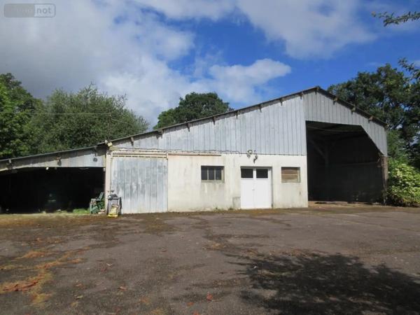 Achat - Maison Réguiny 56500 6 pièces 135 m 2 6234 m 2