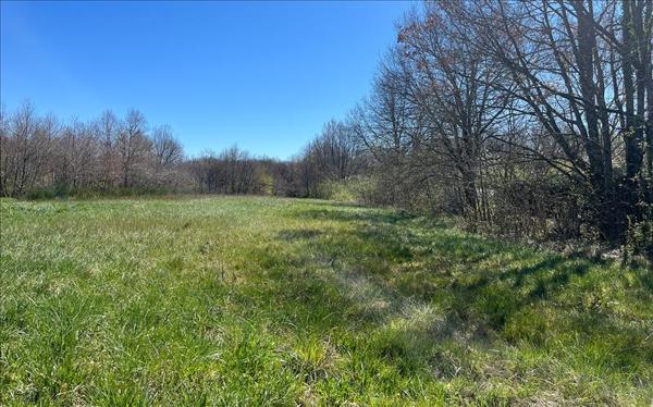 Terrain à vendre |  Lherm |  1997 m²