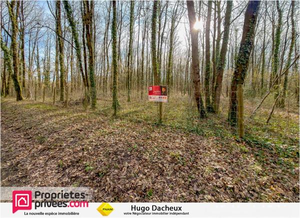 Terrain constructible - 6783 m² - Boisé -