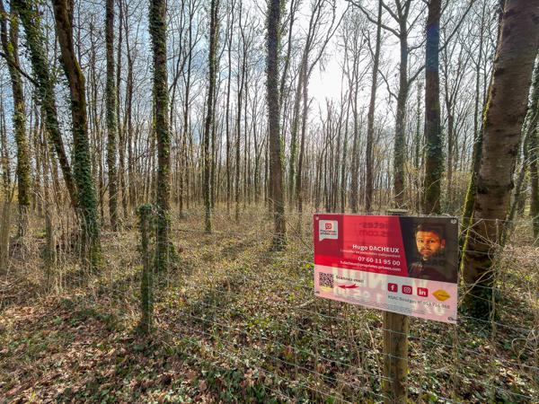Terrain constructible - 6783 m² - Boisé -