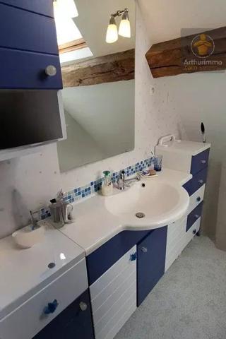Vente                                                      Immeuble
                        
                     7 pièces                      233 m2                     à Avaray