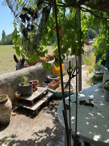 Maison à vendre à Clion dans l'Indre (36700), ref : 1051124