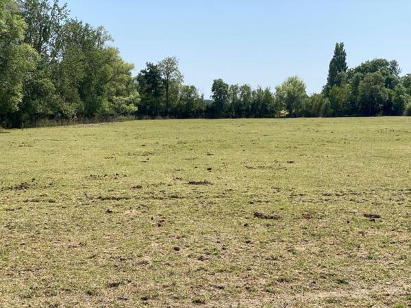 Maison à vendre à Clion dans l'Indre (36700), ref : 1051124