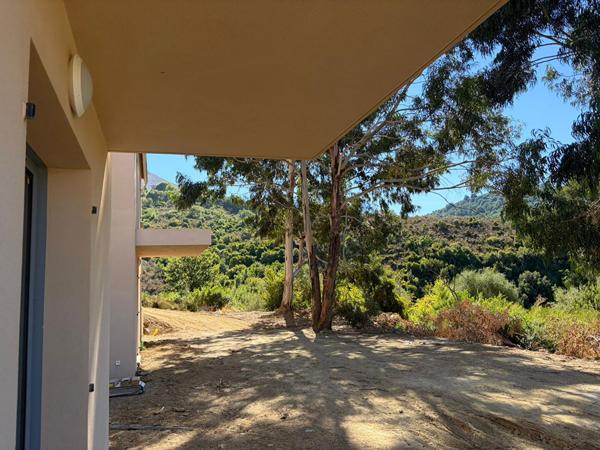 Vente appartement 4 pièces 78,17 m2 - Olmeta di Tuda