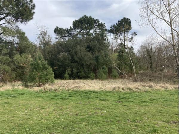 Terrain à vendre |  Étauliers |  4200 m²