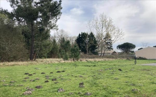 Terrain à vendre |  Étauliers |  4200 m²